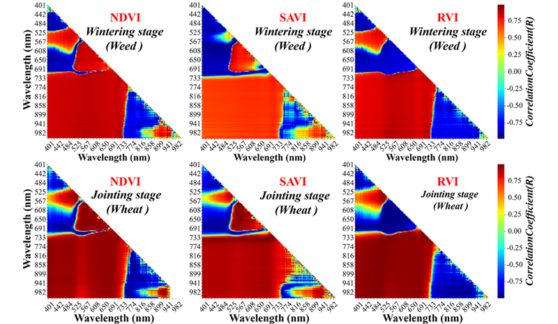 精准农业∣机载高光谱成像对小麦田禾本科杂草的精准识别：探索生物量与产量影响