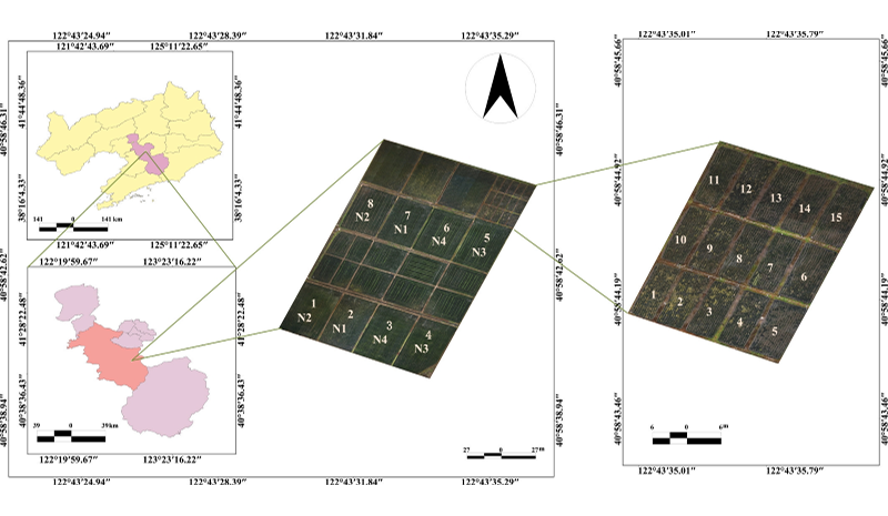 基于优化无人机高光谱遥感影像数据的水稻叶绿素含量反演建模