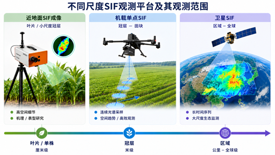 机载SIF：让光合作用观测从固定点位走向空间 | SIF系列科普 第二期